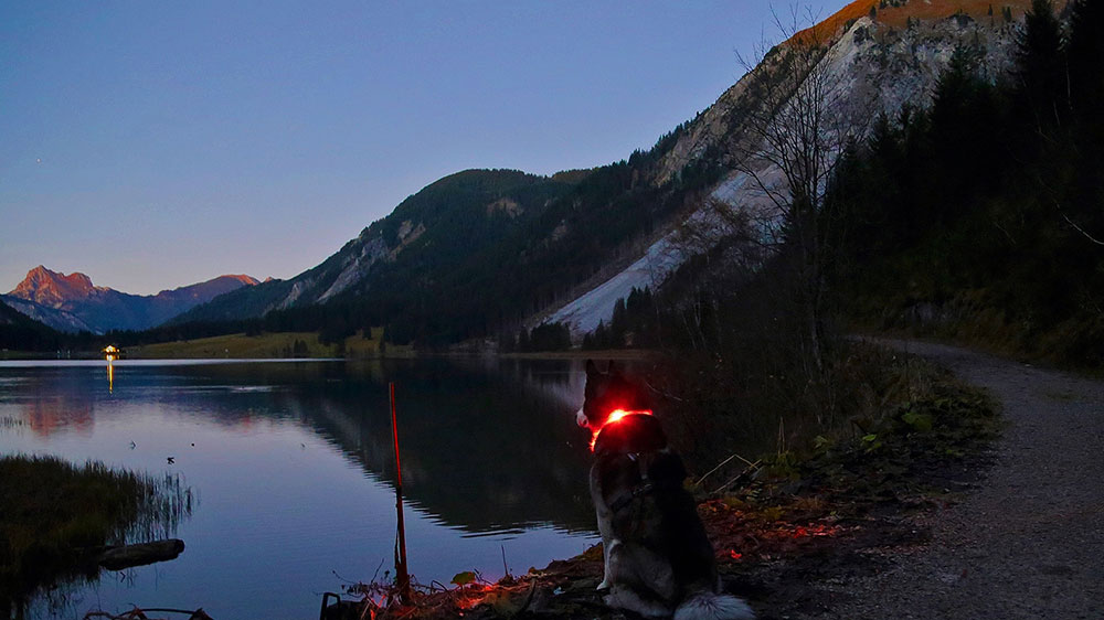 Avondstemming aan het bergmeer met LED-lichtkraag LEUCHTIE